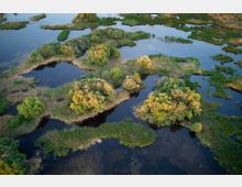 Vacaresti Natural Park