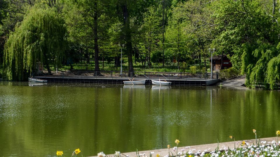 Parc Carol summer.jpg