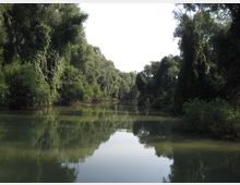 Danube Delta