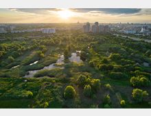 Vacaresti Natural Park