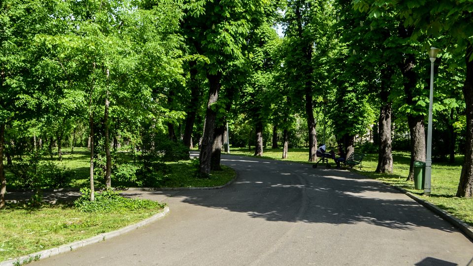 Parc Carol summer.jpg