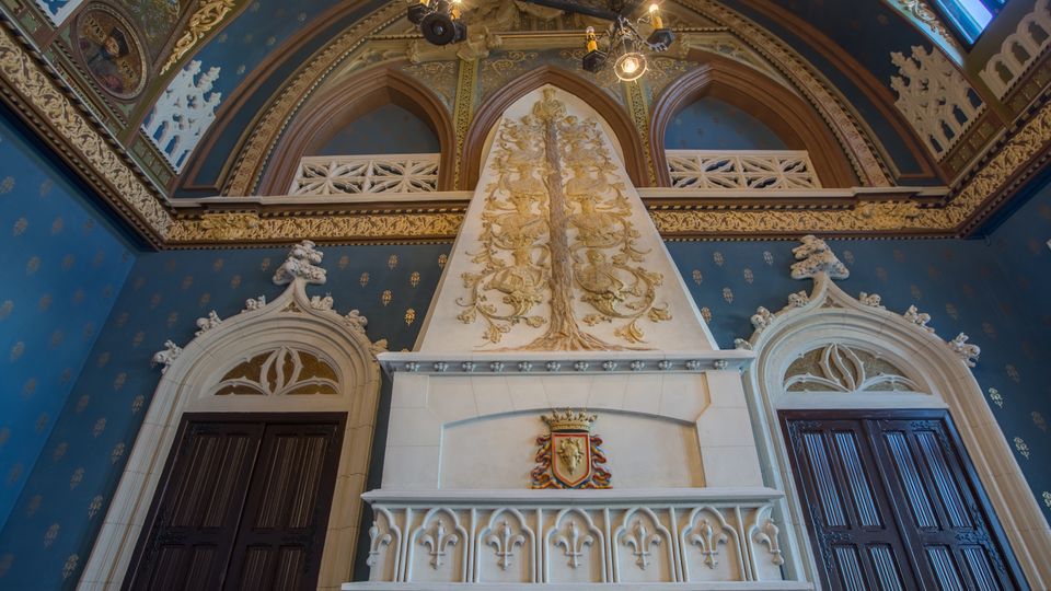 arbore istoric sala voievozilor.jpg