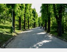 Parc Carol summer.jpg