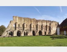 Ruins of cârta monastery