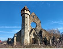 Ruins of cârta monastery