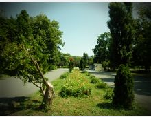 Herăstrău Park