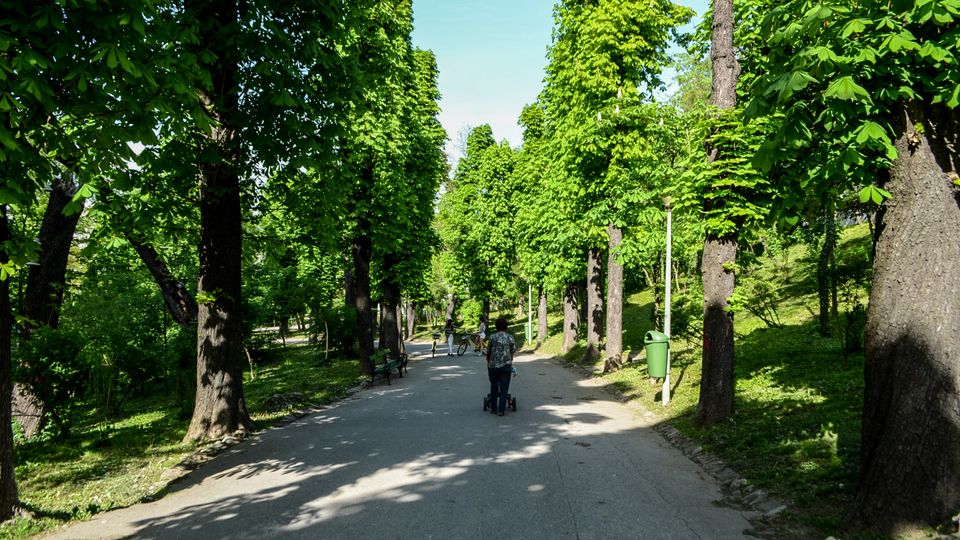 Parc Carol summer.jpg