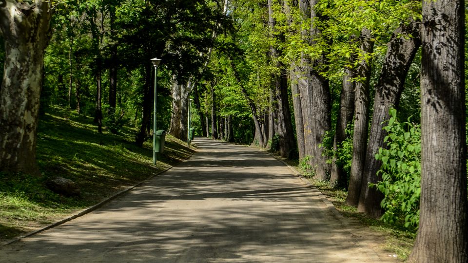 Parc Carol summer.jpg