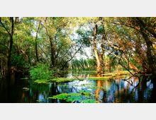 Danube Delta
