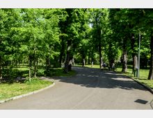 Parc Carol summer.jpg