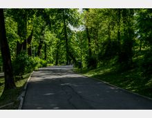 Parc Carol summer.jpg