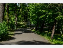 Parc Carol summer.jpg