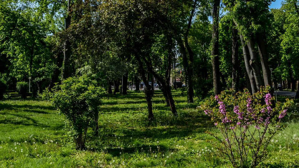 Parc Carol vara-049.jpg