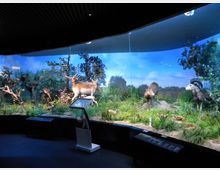 Museum of National History