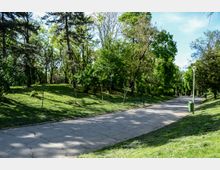 Parc Carol summer.jpg