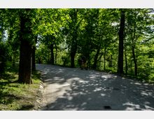 Parc Carol summer.jpg