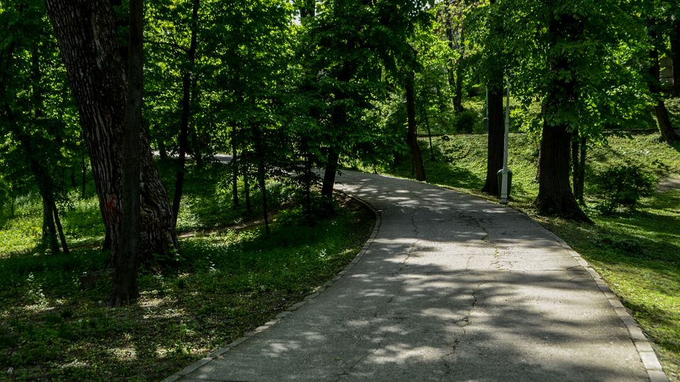 Parc Carol summer.jpg