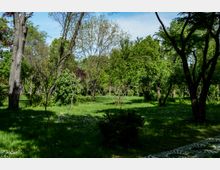 Parc Carol summer.jpg