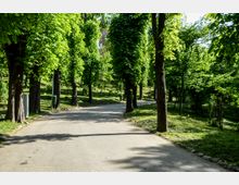 Parc Carol summer.jpg