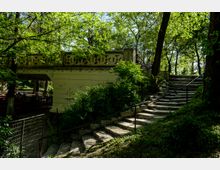 Parc Carol summer.jpg