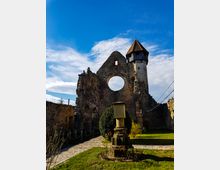 Ruins of cârta monastery