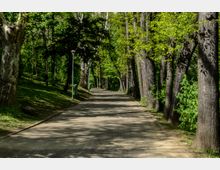 Parc Carol summer.jpg