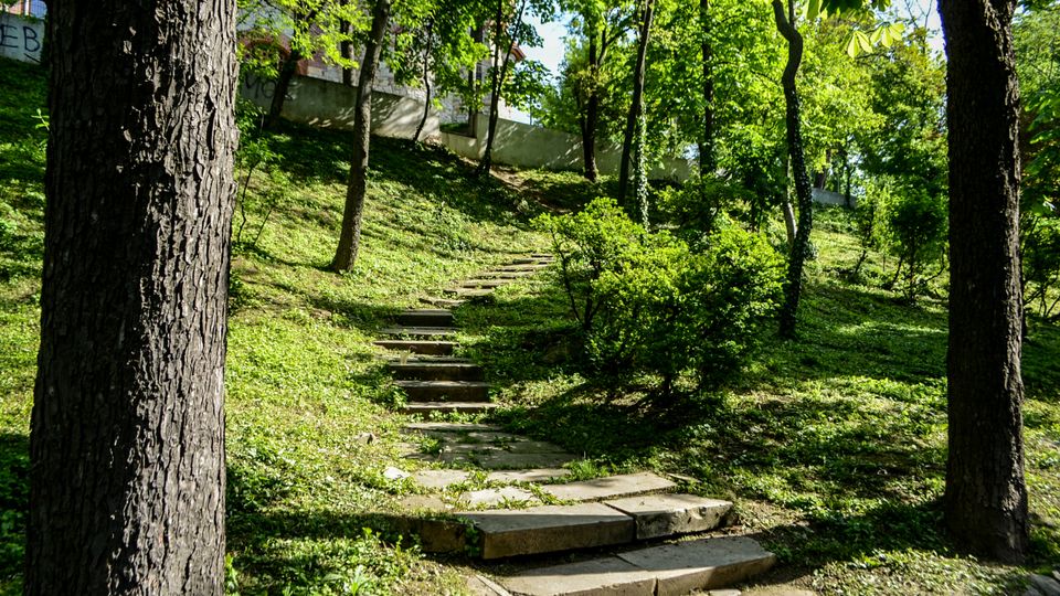 Parc Carol summer.jpg