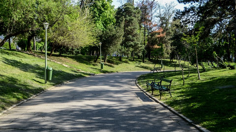 Parc Carol summer.jpg