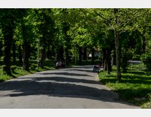 Parc Carol summer.jpg