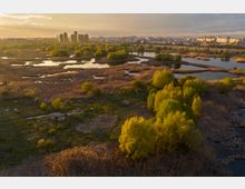 Vacaresti Natural Park