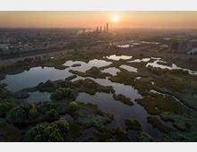 Vacaresti Natural Park