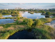 Vacaresti Natural Park