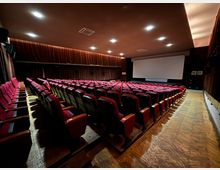 Romanian Peasant Museum Cinema