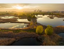 Vacaresti Natural Park