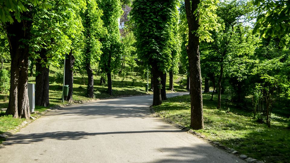 Parc Carol summer.jpg