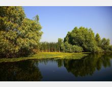 Danube Delta