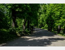 Parc Carol summer.jpg