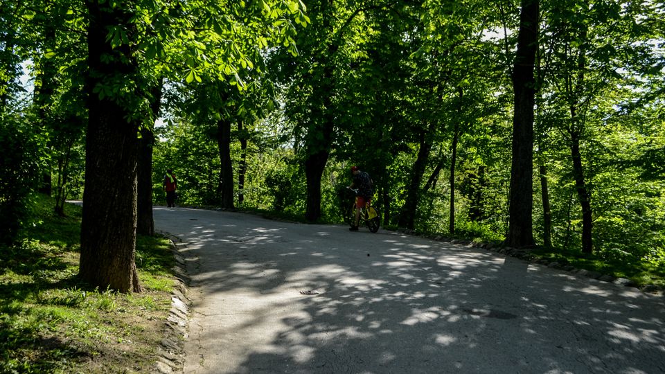 Parc Carol summer.jpg