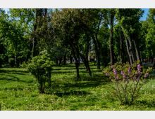 Parc Carol vara-049.jpg