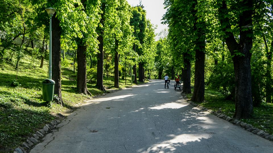 Parc Carol summer.jpg