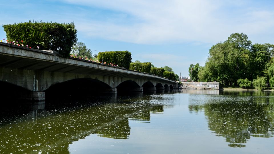 Parc Carol summer.jpg