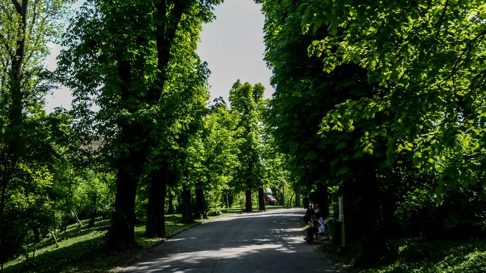 Parc Carol summer.jpg