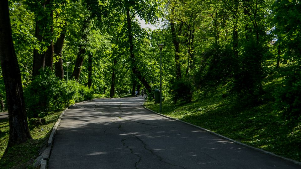 Parc Carol summer.jpg