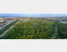 Vacaresti Natural Park