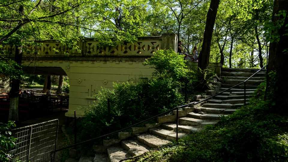 Parc Carol summer.jpg