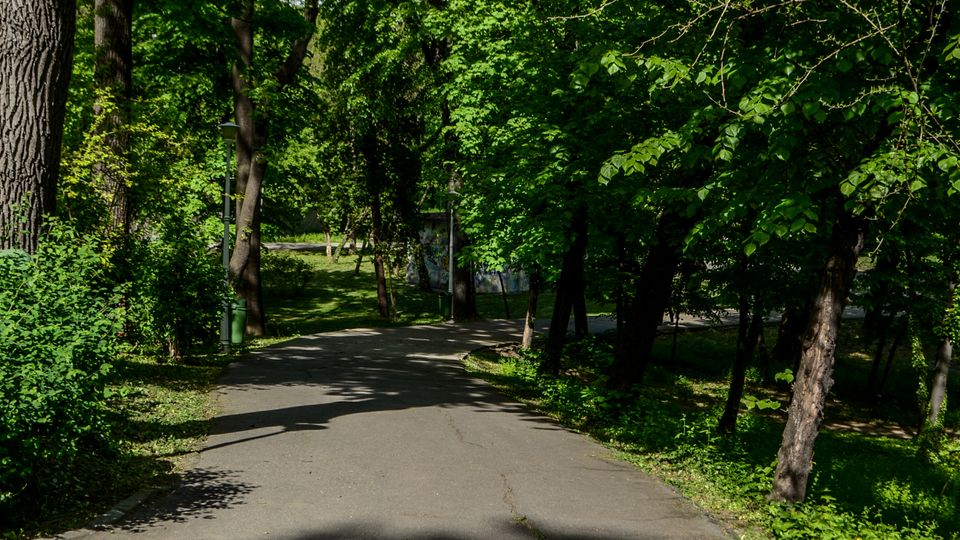 Parc Carol summer.jpg