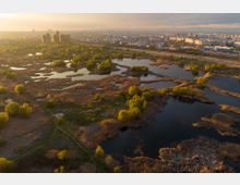 Vacaresti Natural Park