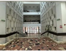 Romanian Peasant Museum Cinema