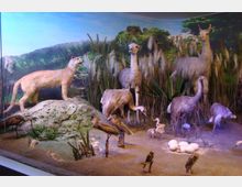 Museum of National History