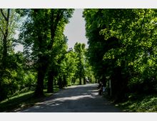 Parc Carol summer.jpg